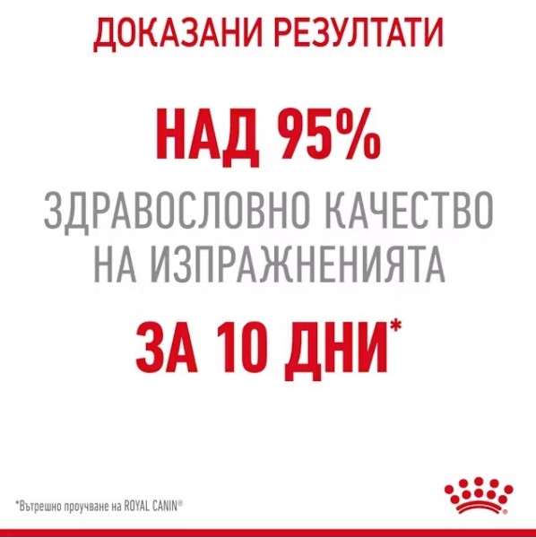 Royal Canin Cat Digestive Care - Пълноценна суха храна за котки за подпомагане на храносмилането